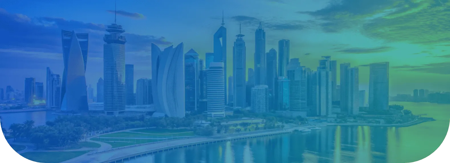 Qatar Cybersecurity Leader