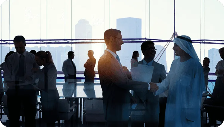 UAE Security Improvement